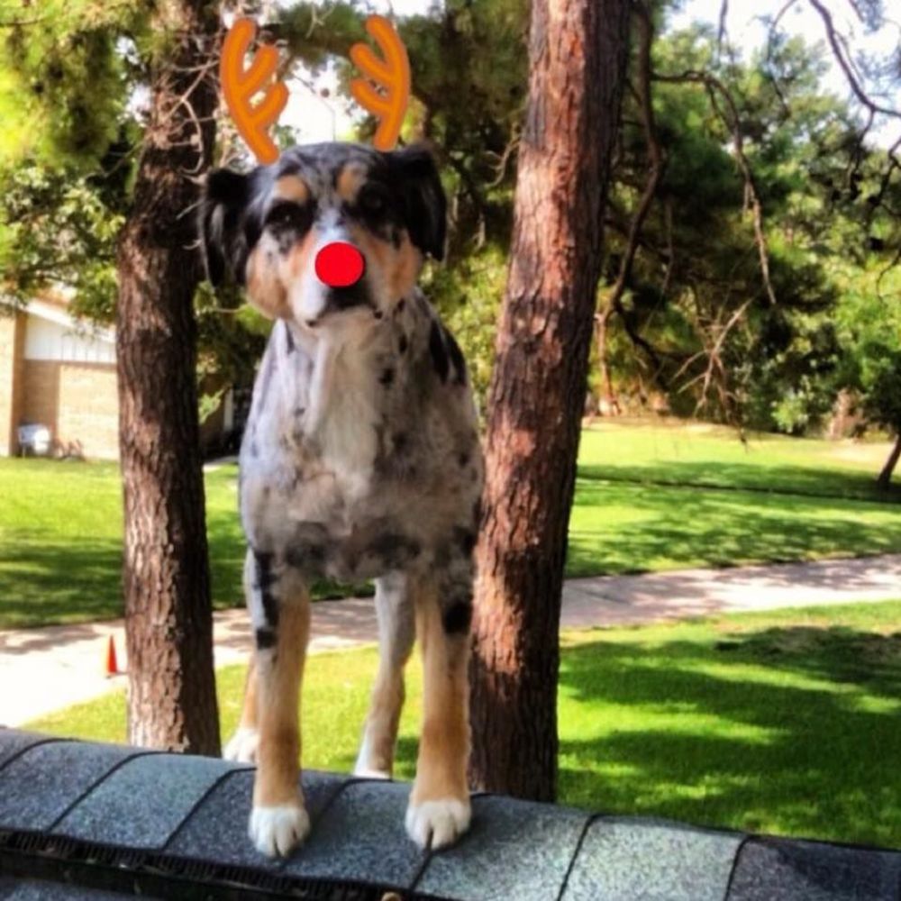 Meet your Posher, Valori